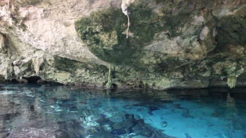 Cenote Reflections