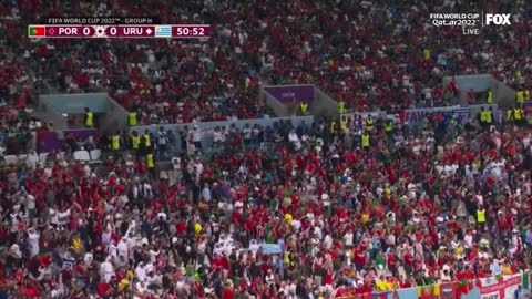 Guy Sporting a Pride Flag & "Save Ukraine" Shirt Rushes the Field in Qatar