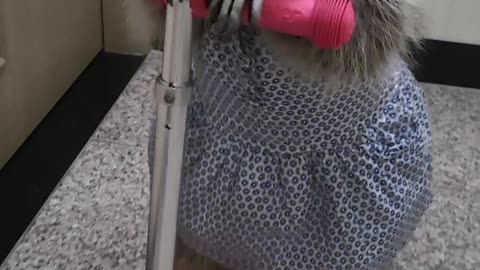 A raccoon in a cute dress is riding a scooter