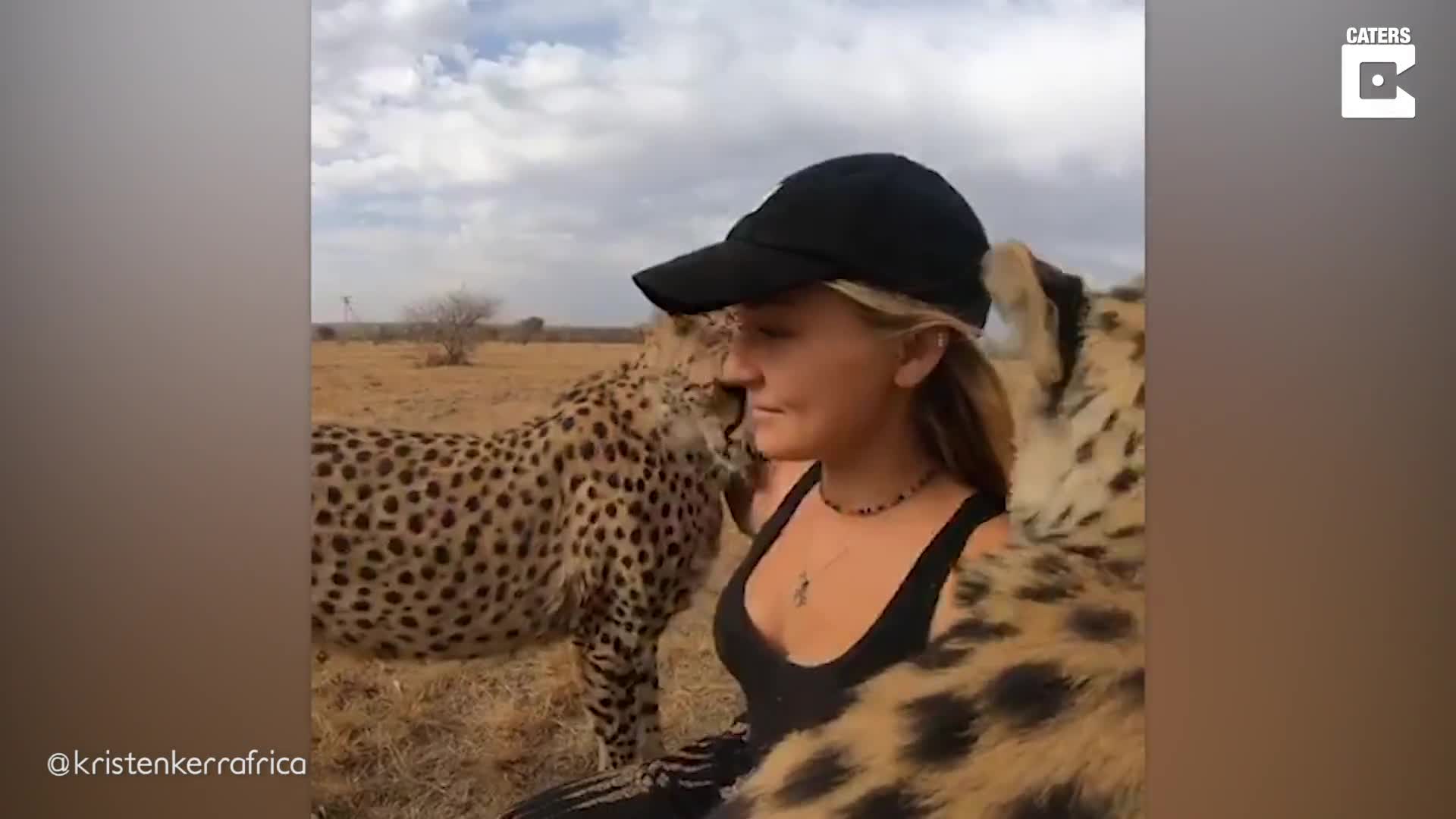REAL LIFE DR DOLITTLE – STUNNING WOMAN RAISED WITH AFRICA’S BIG CATS NURSES HUGE PREDATORS BACK TO HEALTH