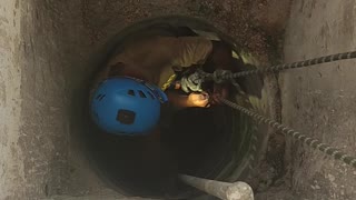 Kitten Rescued from a Deep Well