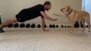 Dog trainer 💪👌