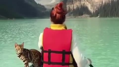 Cat In A Boat
