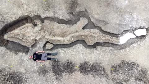 'Sea dragon' fossil discovered in Britain