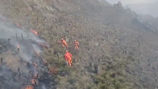 Grave incendio en Páramo del Almorzadero consumió 250 hectáreas de bosque nativo