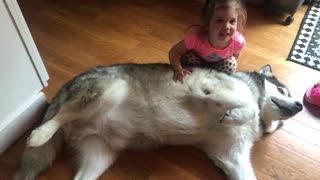 Little girl tells her dog he’s a good boy in the sweetest voice