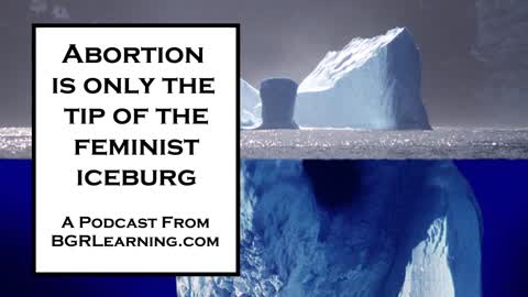 Abortion Is Only the Tip of the Feminist Iceberg