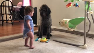 Pooch Teaches Toddler How To Sit