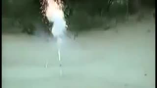 DOG PLAYS WITH FIRE