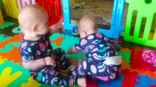 twin babies fight