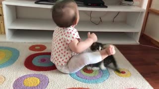 Kitten Keeps Trying to Play with Kiddo