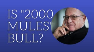 Is "2000 Mules" bull?