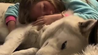 Bedtime snuggles between little girl and her gentle wolfdog