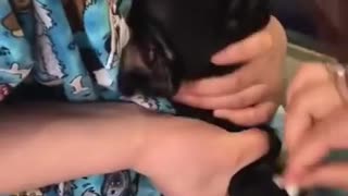 Funny dogs injection videos