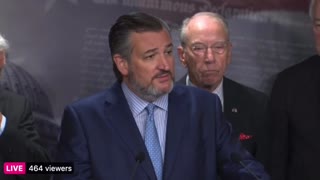 Sen. Ted Cruz on the border crisis