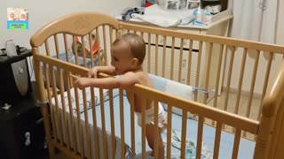 Funny laughing baby videos