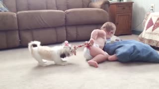 Adorable Babies Playing With Dogs - Baby and Pet Video.