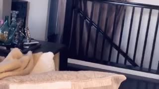 Husband Floats up the Stairs
