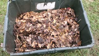 How to Compost Leaves Faster