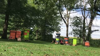 S2E51. Sept 7, 2019 Lawn Mower vs Bee Hives😱