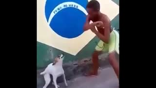 Funny dog dancing with a boy
