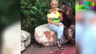 Funny videos | watch animal funny videos