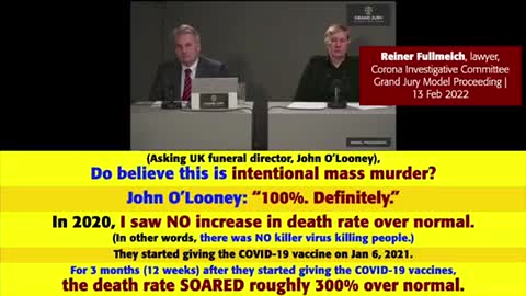 U.K. Funeral director John O’ Looney speaking to attorney Reiner Fuellmich (The Grand Jury)