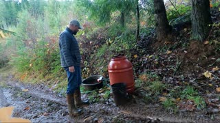 Getting Water to Pigs in the Forest is an Adventure