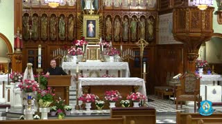 Explaining the Faith - Confession and Divine Mercy
