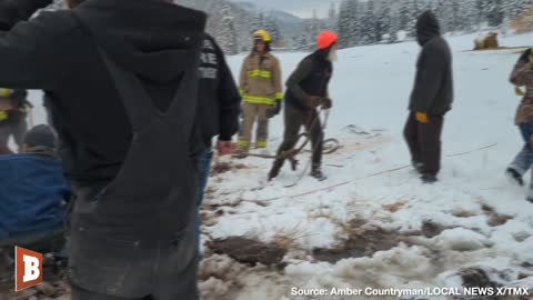 Community Comes Together to Save Four Horses Stuck in Frozen Pond