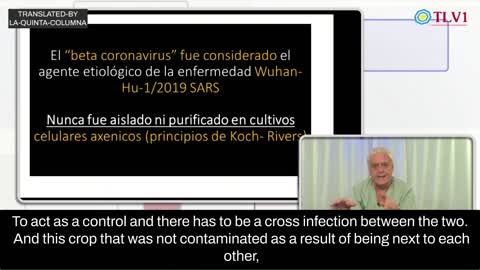 PART 1: Dr Enrique Luis Farracani Ristenpart confirms the findings of La Quinta Columna.
