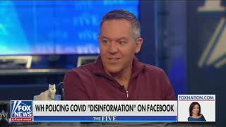 Greg Gutfeld pans White House collusion with Facebook
