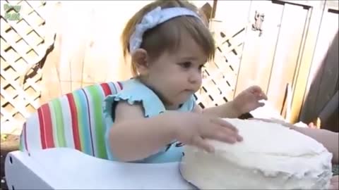 Funny Baby Bites The Cake