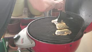 Rennos BBQ Salmon grilled on electric grill