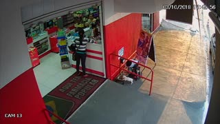 Kid Stumbles Upon A Stray Dog And Leaves It At Local Store