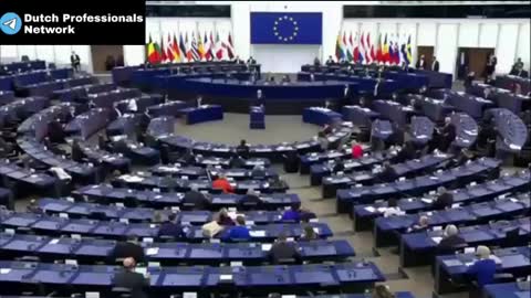 When a member of the European Parliament calls Macron a murderer