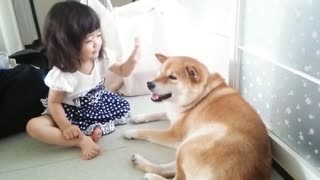 Shiba Inu and his daughter