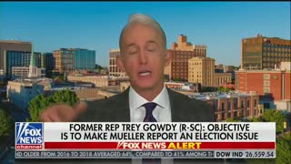 Trey Gowdy says Mueller should have just charged Trump