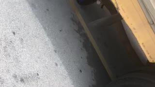 Truck Keeps Cold Air Flowing While Parked