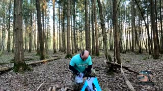 Finding firewood while wildcamping