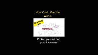 How covid vaccine works,