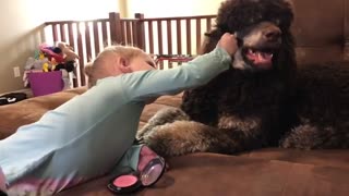 Toddler applies makeup to doggy best friend