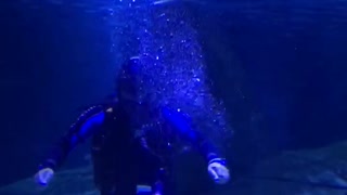 Man in Aquarium Blows Heart-Shaped Rings for Love
