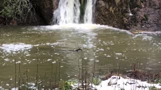 The Waterfall on Anna Belcher Creek