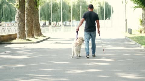 A blind man walking with his dog