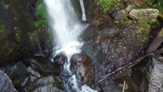An American Legend - Shoal Waterfall hidden deep in a forest