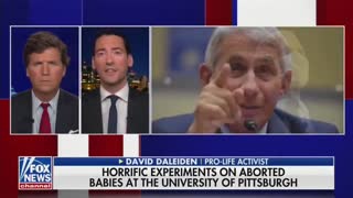 Did Dr. Fauci Oversee Aborted Babies Research at University of Pittsburg ?reports Tucker Carlson