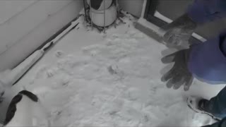 Puppy's First Snow Experience
