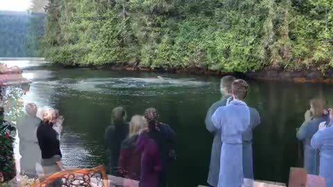 Guests Film Strange Circle Of Bubbles In Water Only To Be Stunned By Creatures Lurking Beneath !