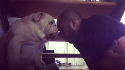 Owner tries his best to sweet-talk Bulldog into taking shower